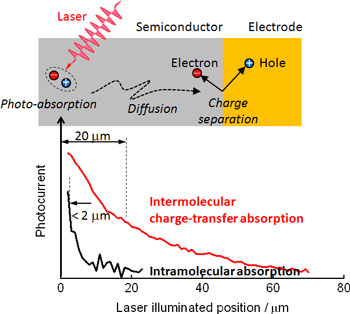 Diffusion and charge-separation characteristics of photo-generated excitons
