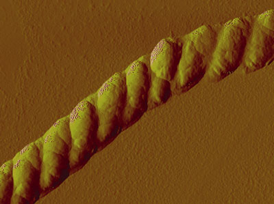 An atomic force microscopy image of the nanoscale rope shown at a resolution of one-millionth of a meter