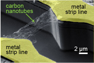 A carbon nanotube network is contacted by two metal strip lines