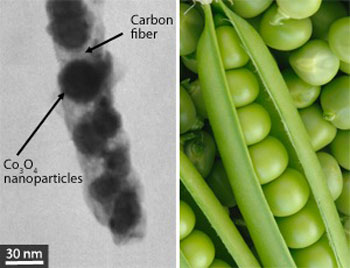 Cobalt oxide nanoparticles embedded in carbon fibers (left) to form peapod-like structures improve the lifetime of electrodes in lithium-ion batteries.