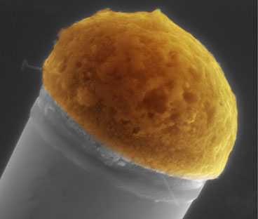 Molten droplets of copper, at top, dissolve silicon out of a surrounding silicon-rich gas, and then the silicon precipitates out at the bottom of the drop to gradually build up a silicon microwire