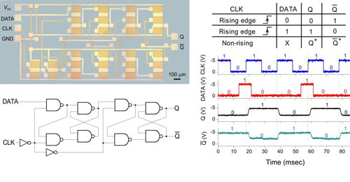 Carbon nanotube-based logic integrated circuits on a plastic substrate