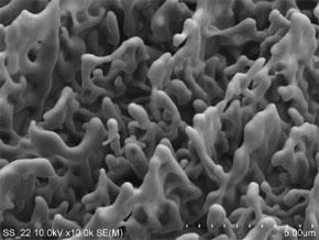 SEM image at a tilting angle of 45 degrees show the typical patterns of the nanostructures