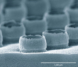 A micrograph of a completed gold double-nanopillar array