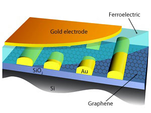 Schematic illustration of an improved graphene–ferroelectric FET with SiO2 basal layer