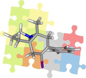 Solved puzzle: By means of residual bipolar couplings, structures of organic molecules can be identified