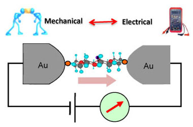 When electrical devices are shrunk to a molecular scale, both electrical and mechanical properties of a given molecule become critical. Specific properties may be exploited, depending on the needs of the application. Here, a single molecule is attached at either end to a pair of gold electrodes, forming an electrical circuit, whose current can be measured
