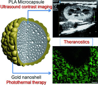 The combination of electrostatic deposition of gold nanoparticles onto microcapsules and a surface seeding method results in the formation of gold nanoshells