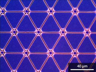 Optical microscopy image of a fully connected hexagonal network of microwires prepared by the self-assembly of gold nanoparticles on a photoresist template