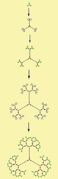 Scheme for synthesizing dendrimers