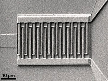 Scanning electron microscopy image of the germanium–silicon-based photodetector with metal contacts to induce plasmonic light enhancement