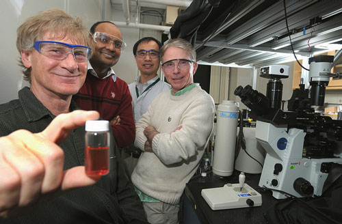 John Bahns, Subramanian Sankaranarayanan, Liaohai Chen and Stephen Gray find new way to assemble nanoparticles.