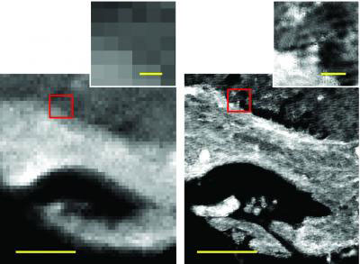 IRENI-generated images (right) are 100 times less pixelated than in those from conventional infrared imaging (left)