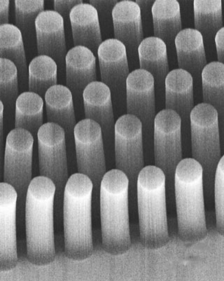 These posts, made of carbon nanotubes, can trap cancer cells and other tiny objects as they flow through a microfluidic device