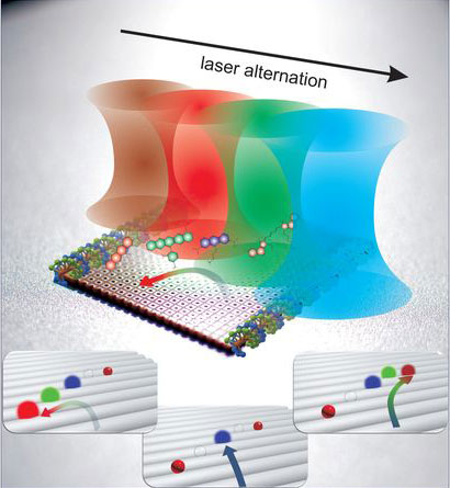 Ein Steckbrett aus DNA wird verwendet um einzelne Farbstoffmoleküle auf Nanometer genau zu positionieren