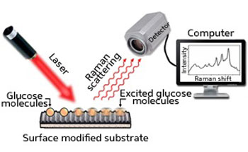 Schematic diagram showing how glucose molecules are detected by SERS using a nanogap substrate