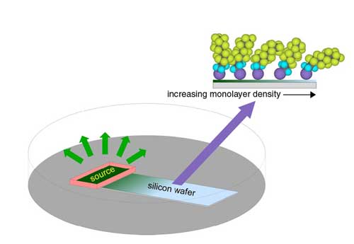 Catching Waves: Measuring Self-Assembly in Action