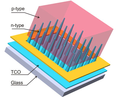 Nanocone-based solar cell consisting of n-type nanocones, p-type matrix, transparent conductive oxide (TCO) and glass substrate