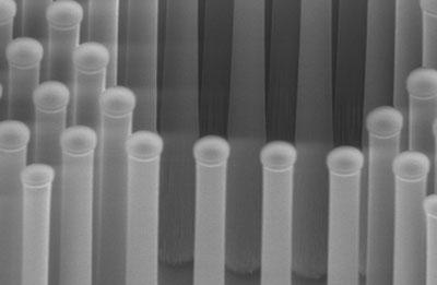 A scanning electron microscope image of tiny silicon pillars