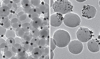 Transmission electron microscopy images of snowman-like Janus particles consisting of a large silica sphere and multiple small gold nanoparticles