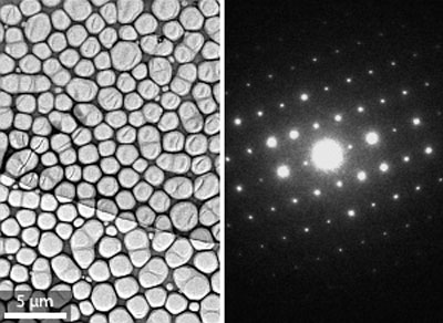 Transmission electron microscopy image of the two-dimensional organic crystal (left), and the corresponding selected-area electron diffraction image