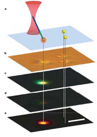 Nanowire light source