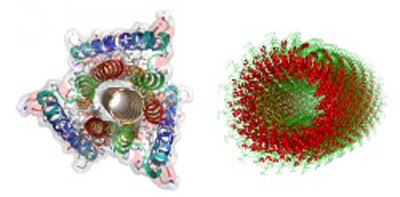 The researchers' structure, left, was inspired by tobacco mosaic virus, right.