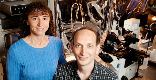 Illinois professor Claudio Grosman and research scientist Gisela Cymes