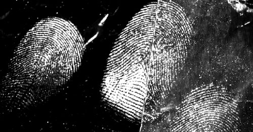 Latent fingermarks from a male donor developed on aluminium foil