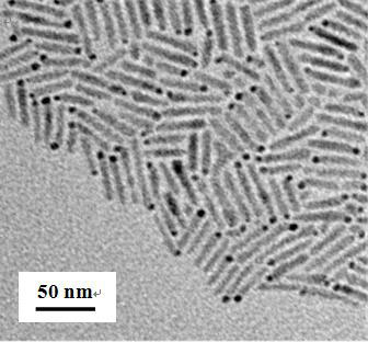Metal-semiconductor 'matchstick-like' structures viewed under high-powered transmission electron microscopy.