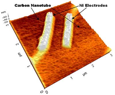 Nickel electrodes making contact with carbon nanotub