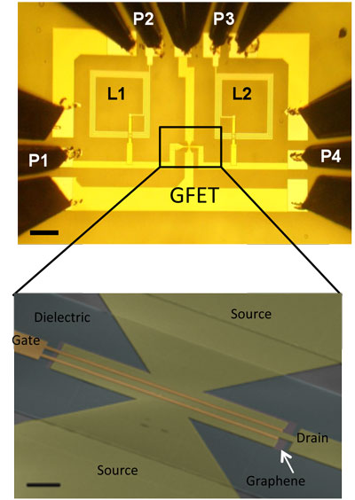 Optical image of a completed graphene integrated circuit