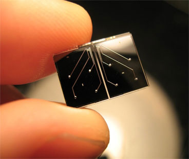 microfluidic chip that can measure the mass and density of single cells