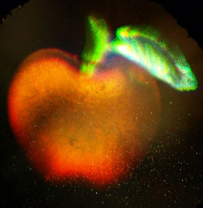 A full-color holographic apple achieved using surface plasmon polaritons in a silver film