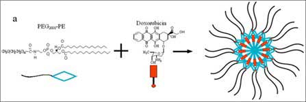 Schematic illustration of self-assembly of doxorubicin and PEG-PE.