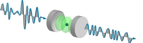 A single rubidium atom in a cavity squeezes the quantum fluctuations of a weak laser beam, decreasing the fluctuations of the amplitude at the expense of the phase