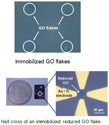 Immobilization and device fabrication of grphene oxide flakes