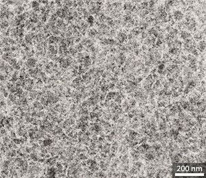 A transmission electron microscopy image of a POD2T-DTBT film, showing a fibrous polymeric phase (light) and a non-polymeric phase (dark)