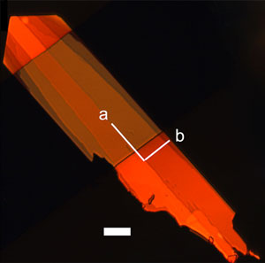 A single crystal of a organic semiconductor material