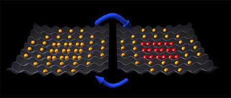 Atoms and molecules in a lattice made of light: