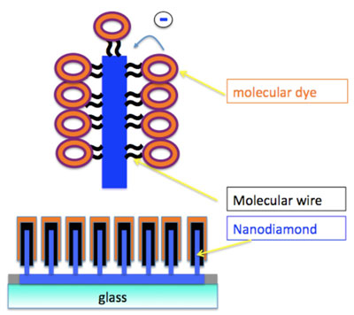 MOLESOL: Proposed concept of the molecular wire solar cell