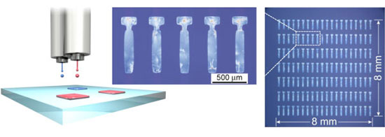 Single-crystal thin films of organic semiconductors formed at respective positions by a new inkjet printing technique