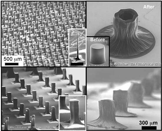 Carbon nanotube solid formed into various shapes from lithographically patterned catalyst islands
