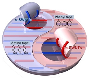 A schematic illustration of the separation of single-walled CNTs using amino- and phenyl-modified PDMS scotch tape