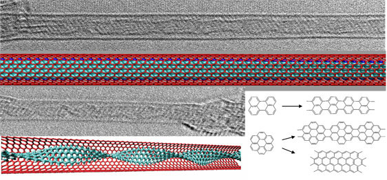 graphene nanoribbons encapsulated in single-walled carbon nanotube