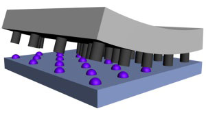 A schematic illustration of a stamp constructed from carbon nanoposts for the production of arrays of metal nanodots