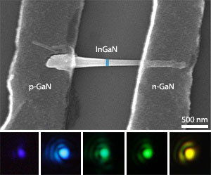 A scanning electron microscopy image of the GaN/InGaN nanorods (upper) and examples of the light produced by nanorod LEDs