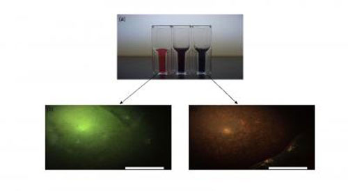 Gold Nanoparticle Solutions and Corresponding Phantom Images