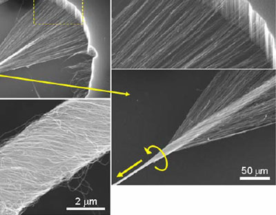 A forest of multi-walled nanotubes are pulled and twisted into yarns