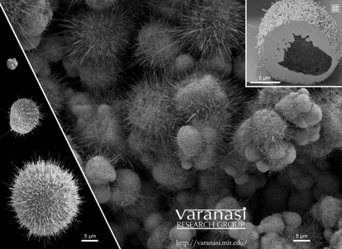 nanowire bristles that form on copper particles